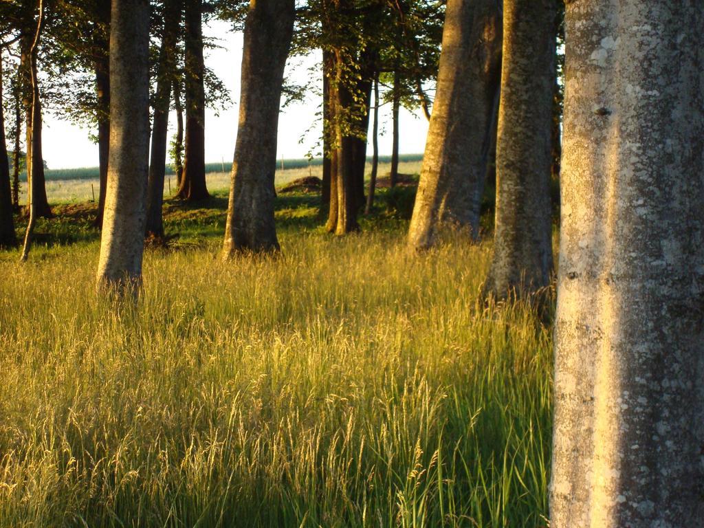 Saebyholms Gard Bed and Breakfast Laholm Esterno foto